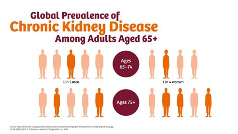 kidney disease and nephrology near occidental|Prevalence of chronic kidney disease in South Asia: a  .